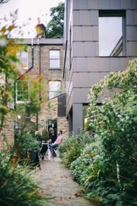 Urban Gardening